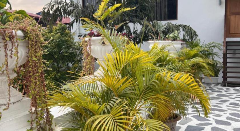 Hotel Club Denovo Butwal Esterno foto